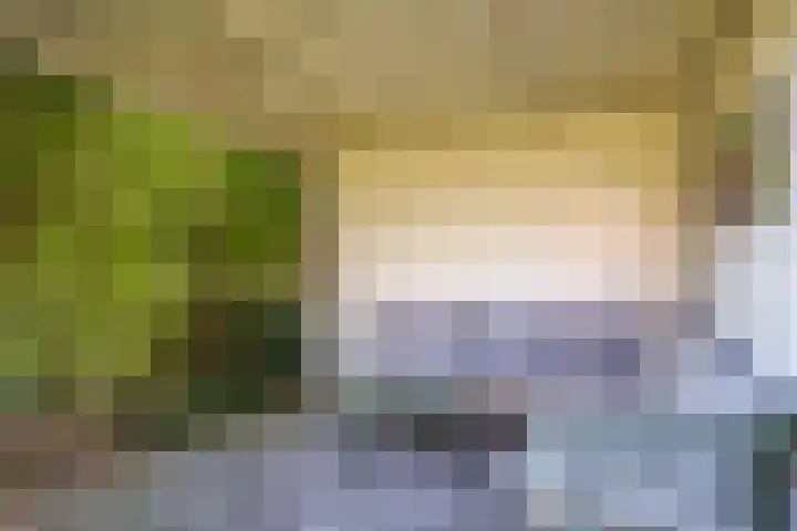 Waalbandijk 94 Dodewaard thumbnail 65