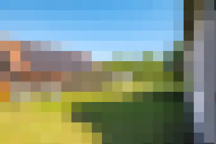 Waalbandijk 94 Dodewaard thumbnail 67