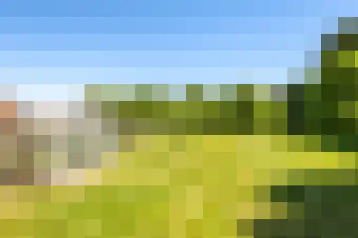 Waalbandijk 94 Dodewaard thumbnail 68