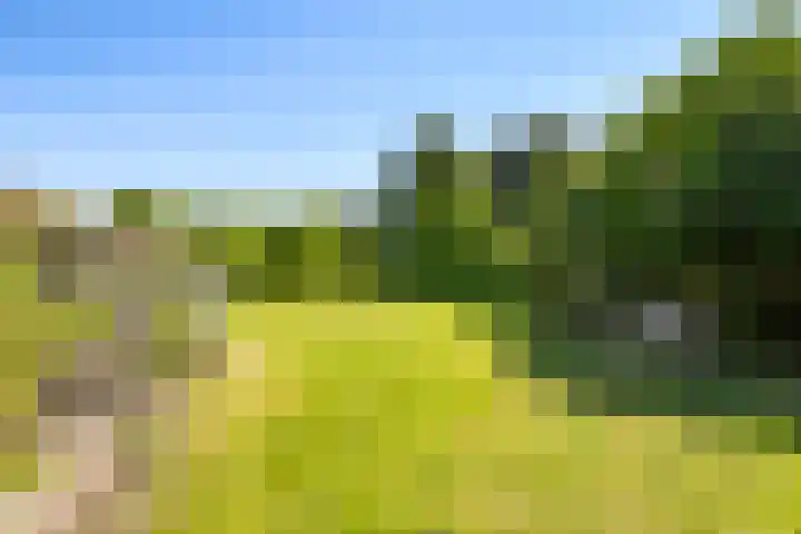 Waalbandijk 94 Dodewaard thumbnail 69
