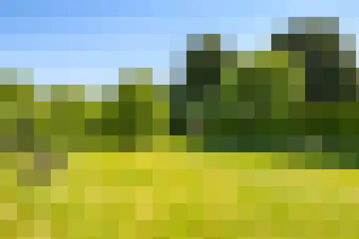 Waalbandijk 94 Dodewaard thumbnail 71