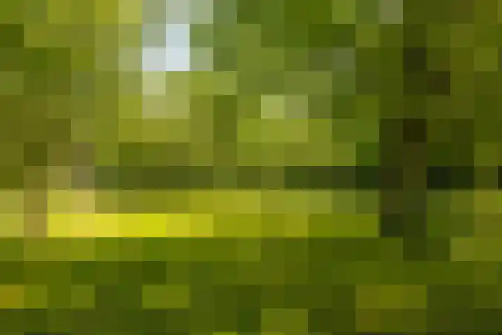 Waalbandijk 94 Dodewaard thumbnail 72