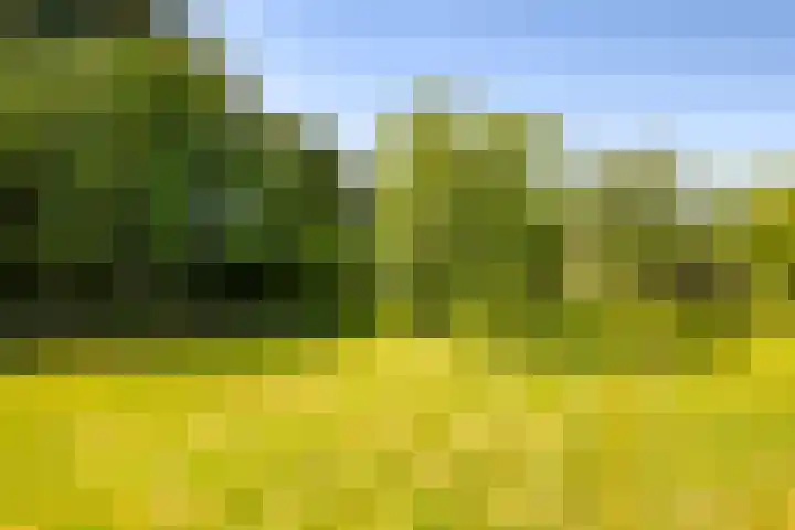 Waalbandijk 94 Dodewaard thumbnail 73