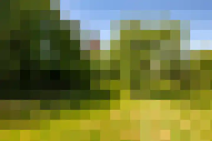 Waalbandijk 94 Dodewaard thumbnail 74