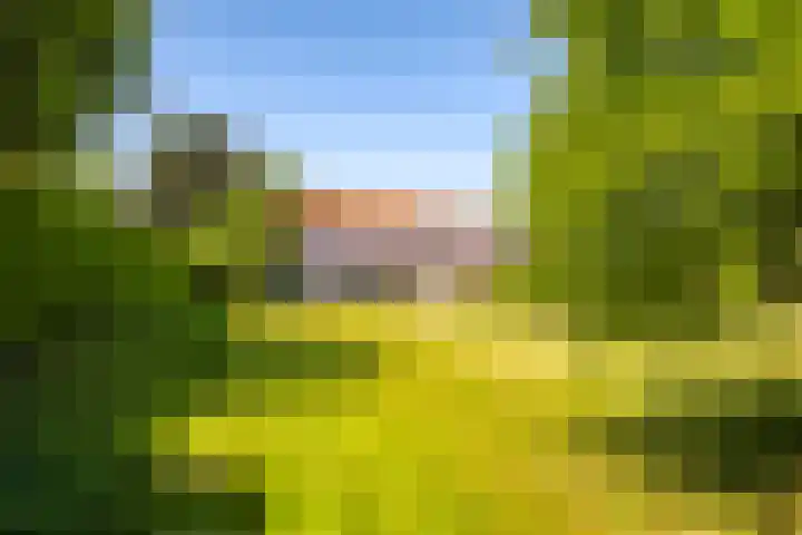 Waalbandijk 94 Dodewaard thumbnail 75