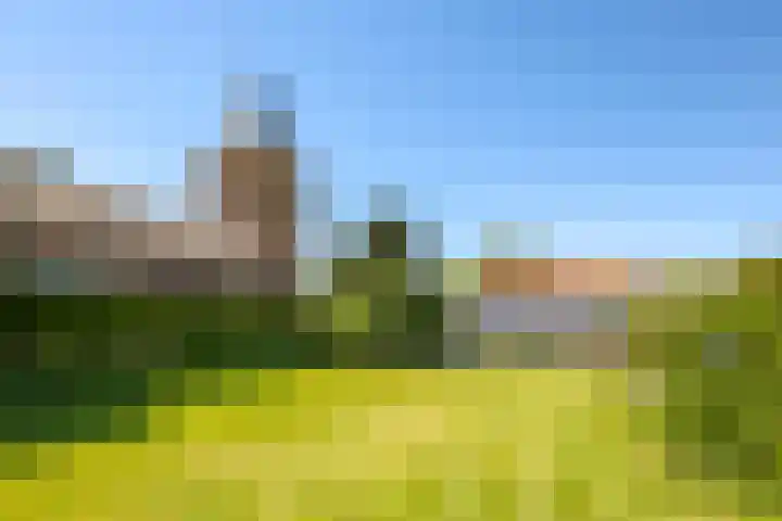 Waalbandijk 94 Dodewaard thumbnail 76