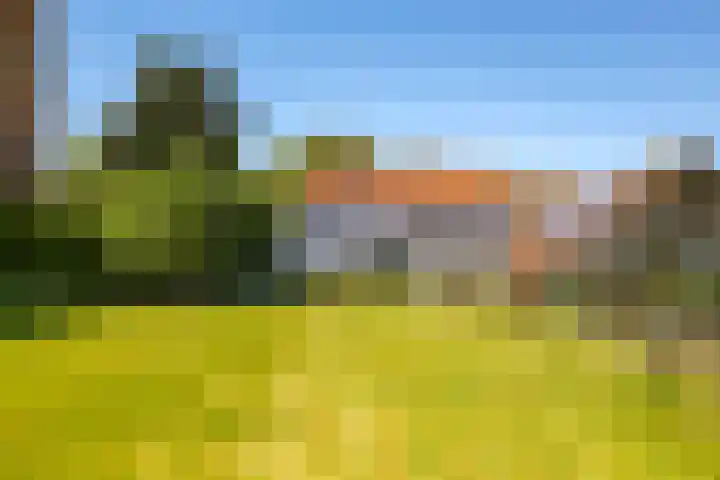 Waalbandijk 94 Dodewaard thumbnail 77