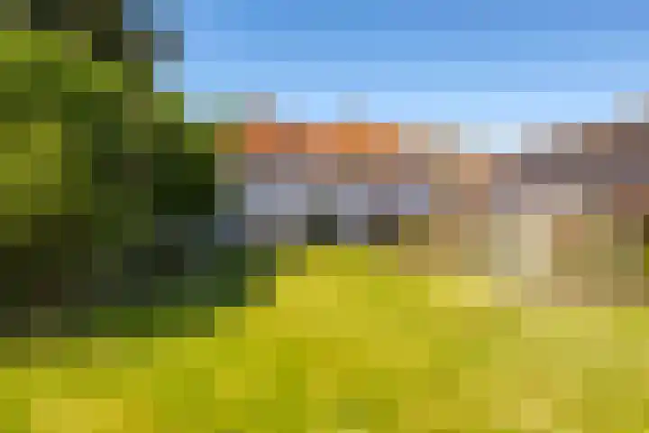 Waalbandijk 94 Dodewaard thumbnail 78
