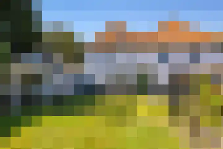 Waalbandijk 94 Dodewaard thumbnail 80