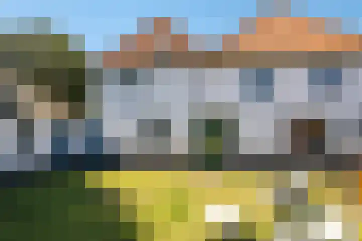 Waalbandijk 94 Dodewaard thumbnail 81