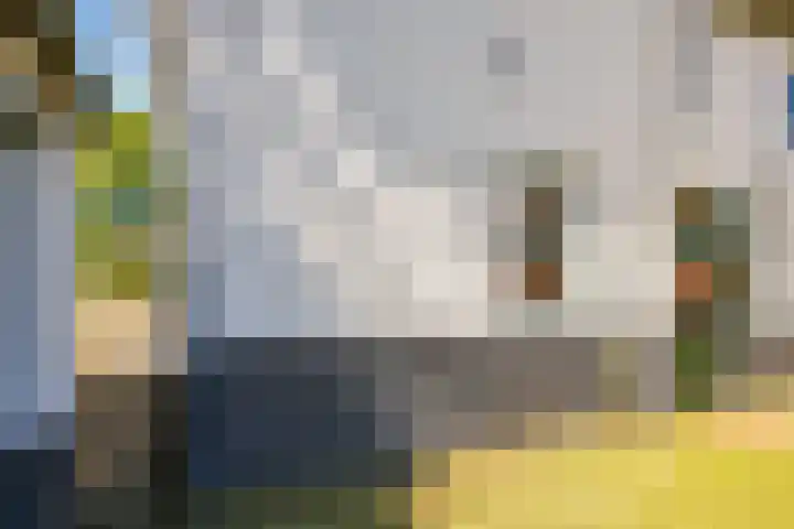Waalbandijk 94 Dodewaard thumbnail 83
