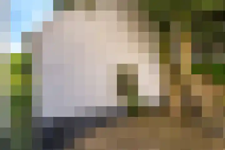 Waalbandijk 94 Dodewaard thumbnail 84