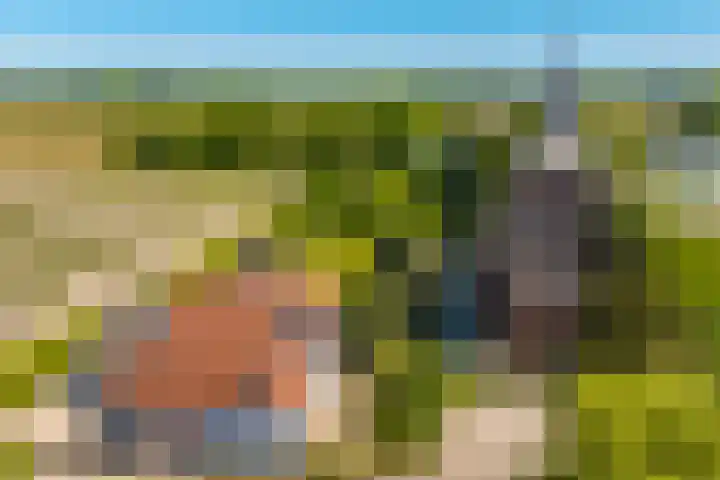 Waalbandijk 94 Dodewaard thumbnail 89