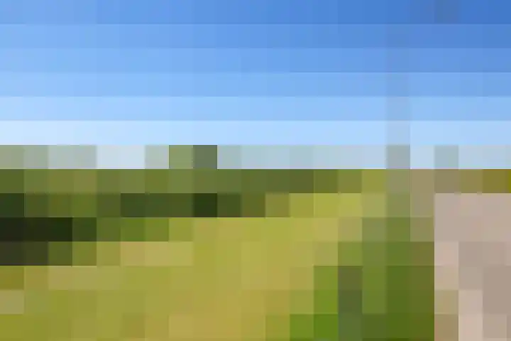 Waalbandijk 94 Dodewaard thumbnail 93
