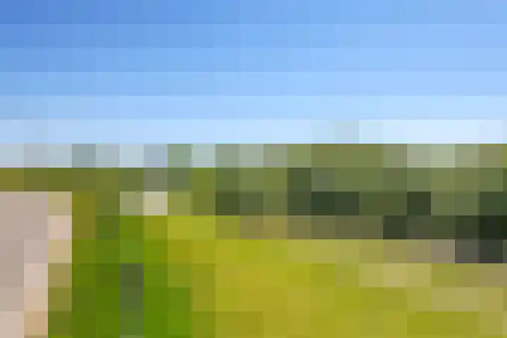 Waalbandijk 94 Dodewaard thumbnail 94