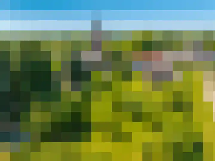 Waalbandijk 94 Dodewaard thumbnail 96