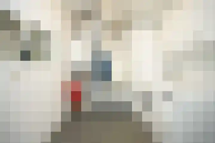 Waalbandijk 99 Nijmegen thumbnail 37