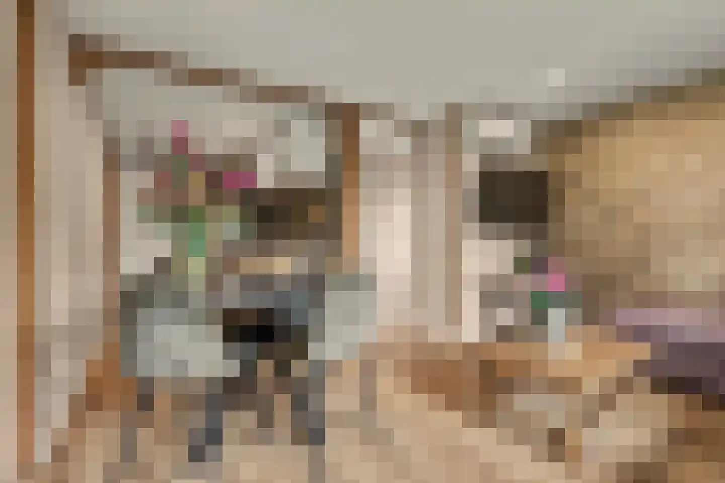 Waalboer 46 Oostvoorne thumbnail 13