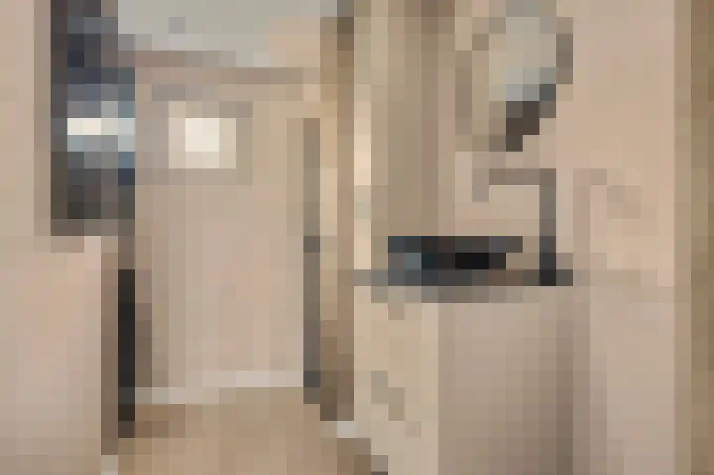 Waalboer 46 Oostvoorne thumbnail 19