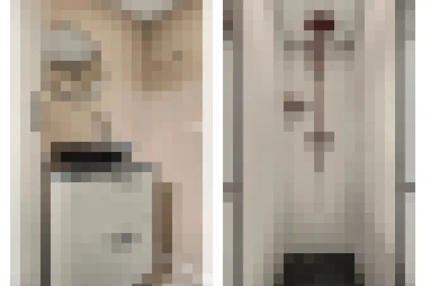 Waalboer 46 Oostvoorne thumbnail 20