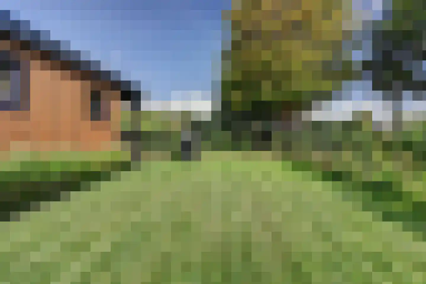 Waalboer 46 Oostvoorne thumbnail 24