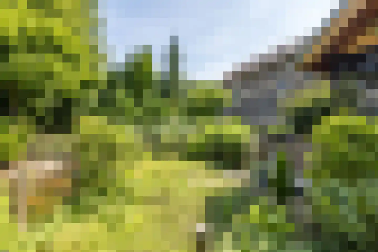 Waalbroek 9 Simpelveld thumbnail 10