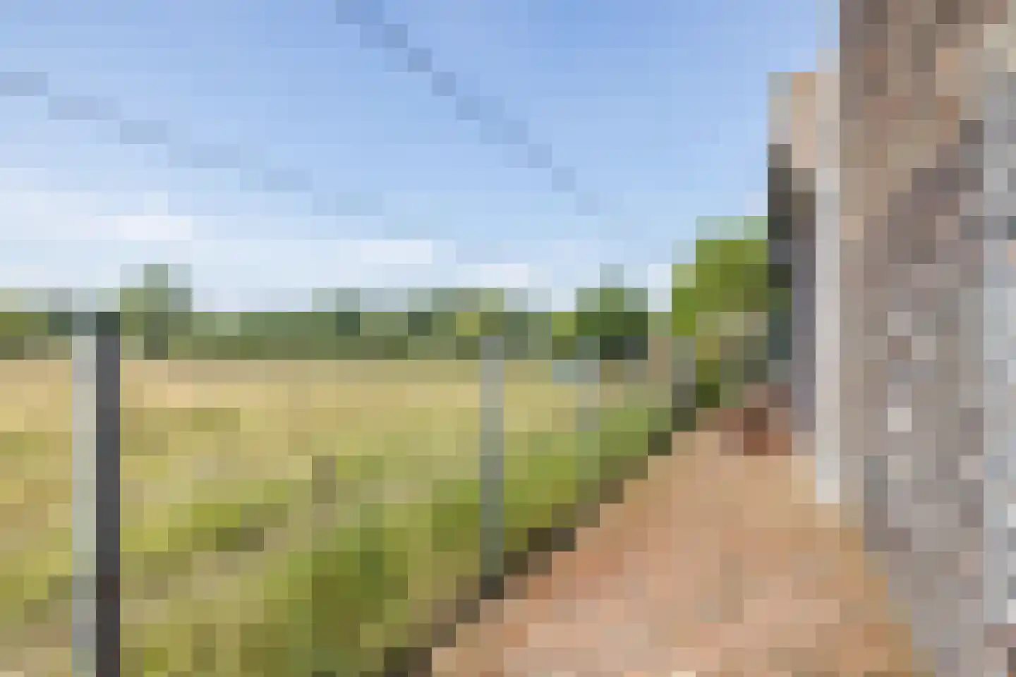 Waalbroek 9 Simpelveld thumbnail 12