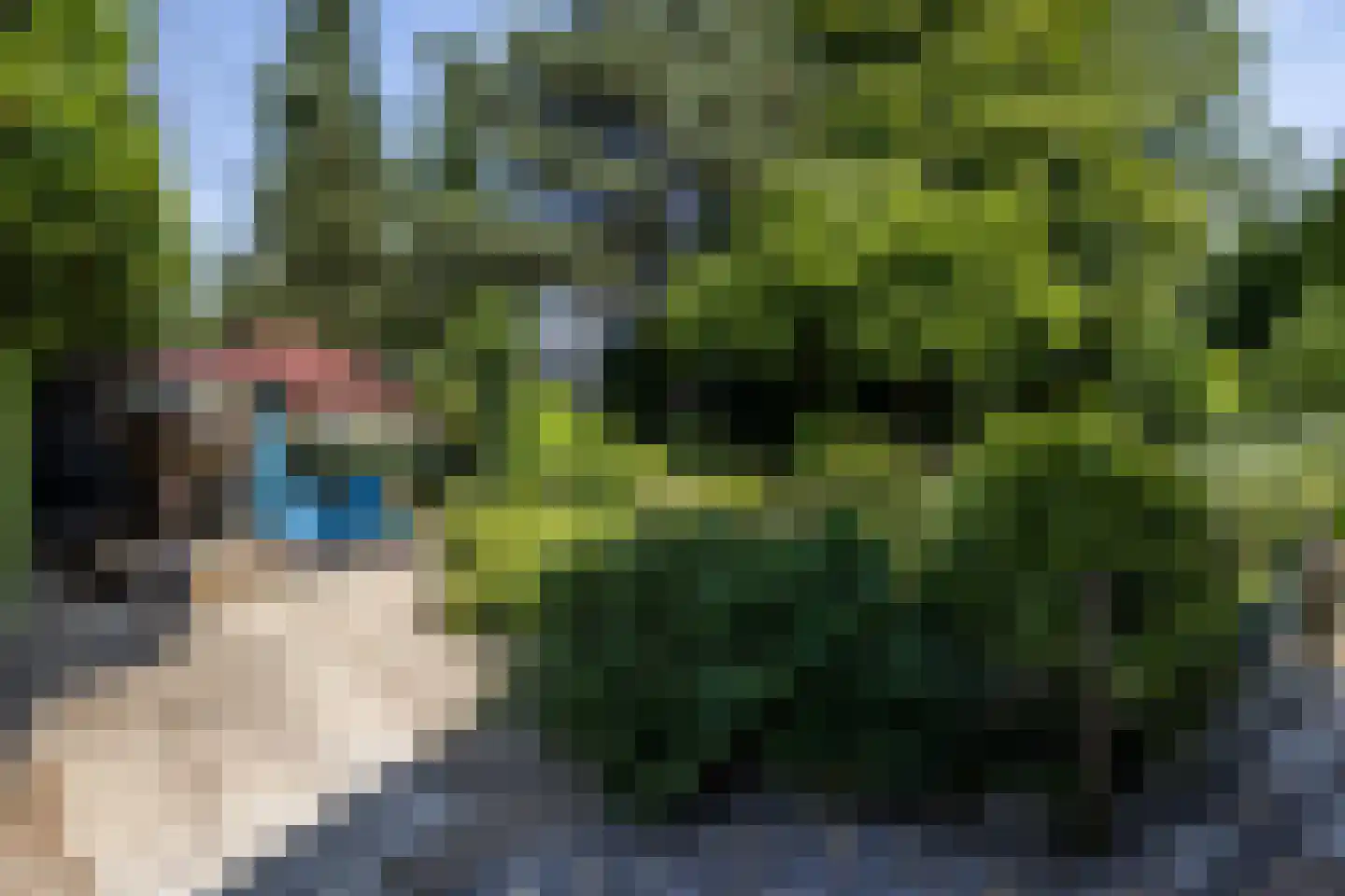 Waalbroek 9 Simpelveld thumbnail 13