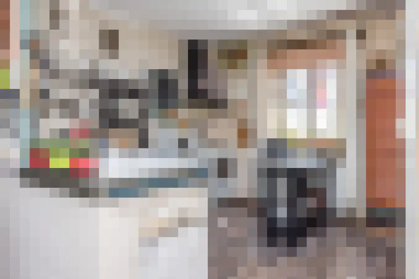 Waalbroek 9 Simpelveld thumbnail 23