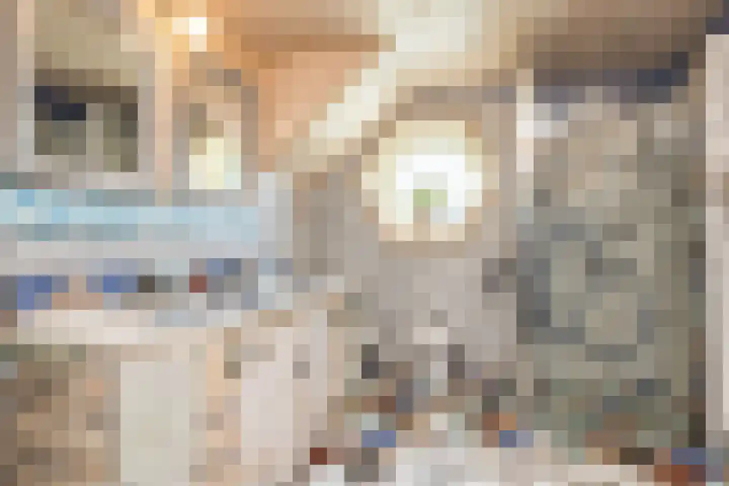 Waalbroek 9 Simpelveld thumbnail 30