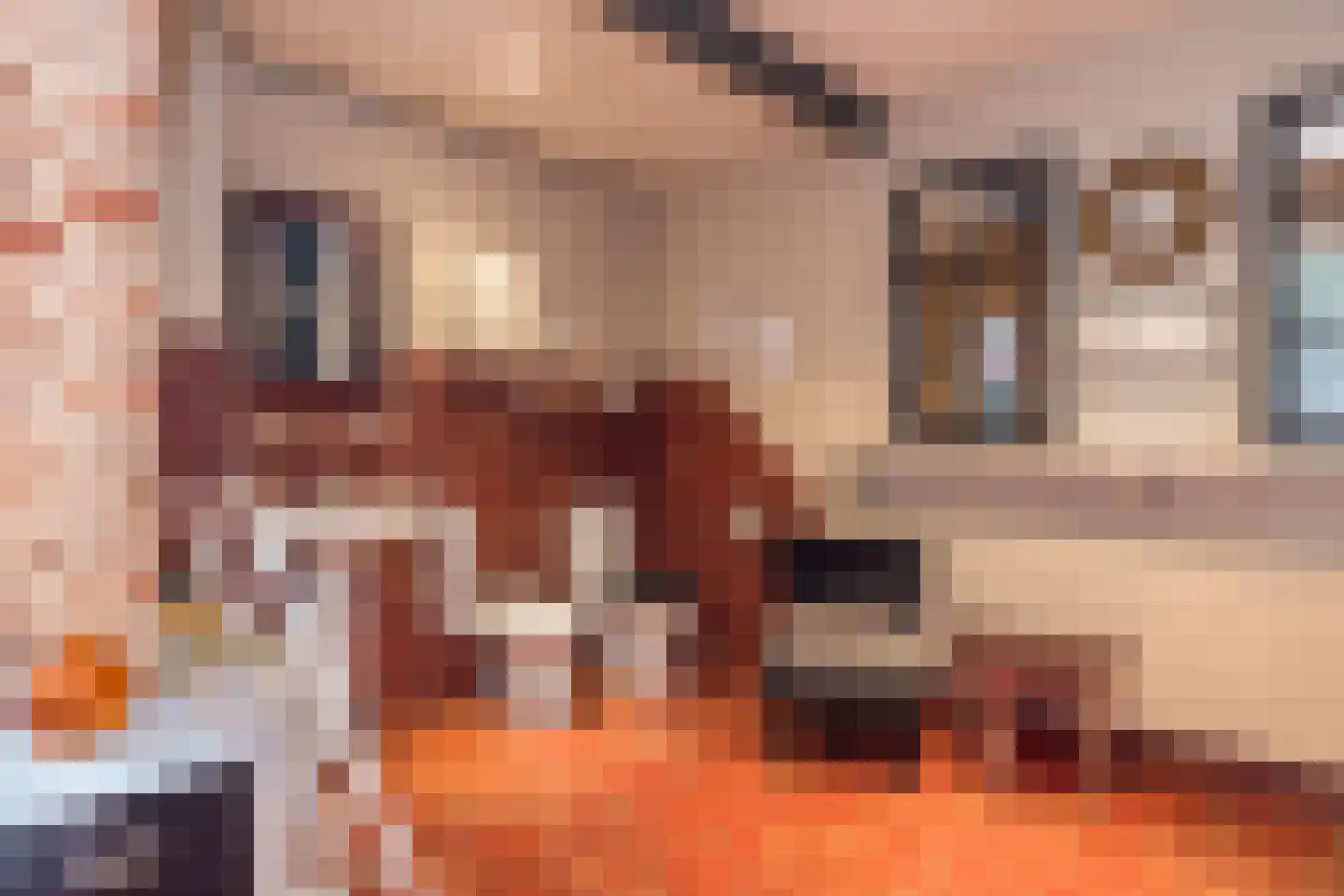 Waalbroek 9 Simpelveld thumbnail 38