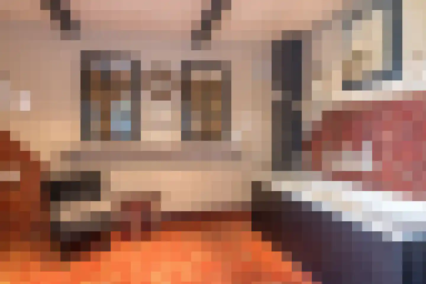 Waalbroek 9 Simpelveld thumbnail 39