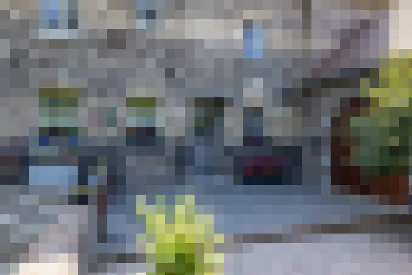 Waalbroek 9 Simpelveld thumbnail 4