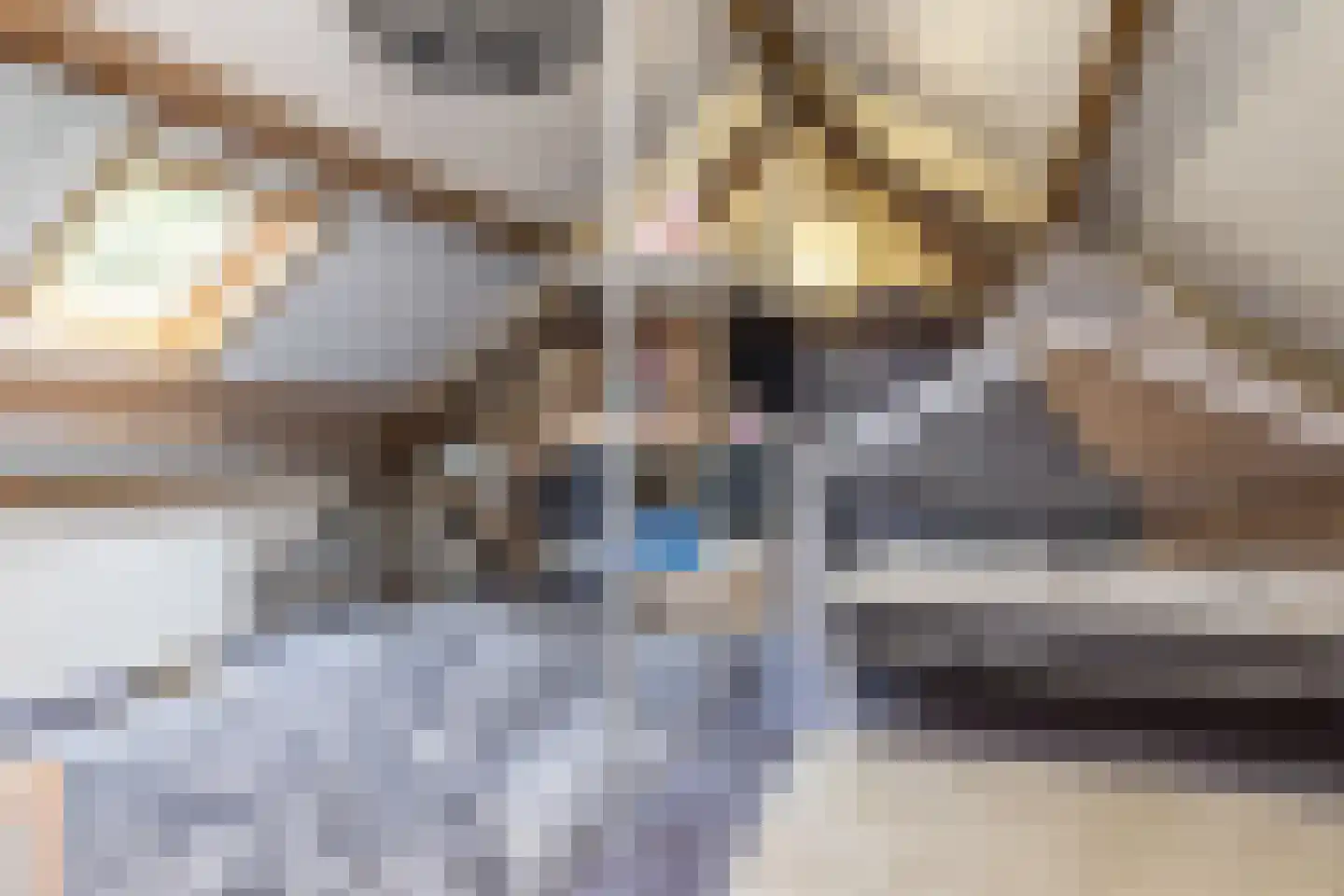 Waalbroek 9 Simpelveld thumbnail 47