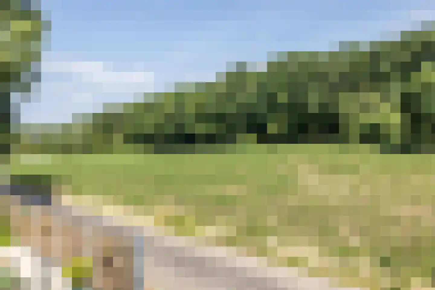 Waalbroek 9 Simpelveld thumbnail 49