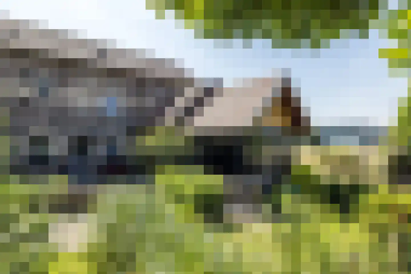 Waalbroek 9 Simpelveld thumbnail 5