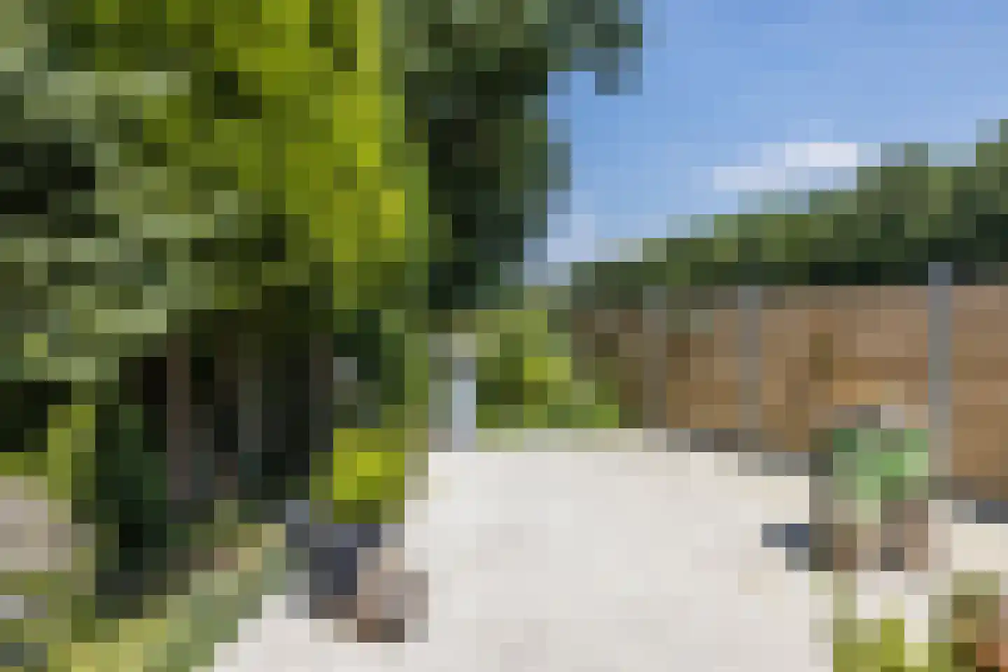 Waalbroek 9 Simpelveld thumbnail 59