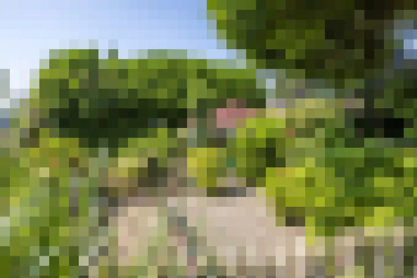 Waalbroek 9 Simpelveld thumbnail 6