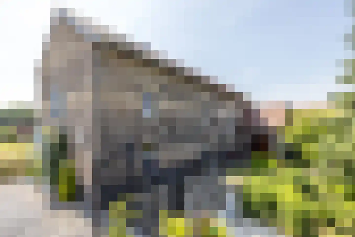 Waalbroek 9 Simpelveld thumbnail 60
