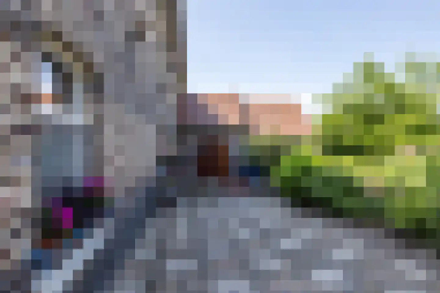 Waalbroek 9 Simpelveld thumbnail 61