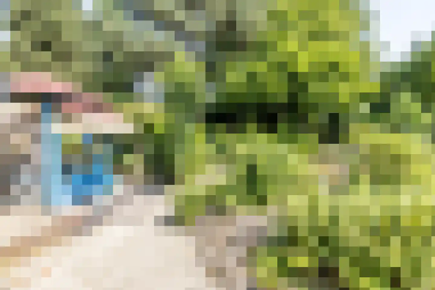 Waalbroek 9 Simpelveld thumbnail 8