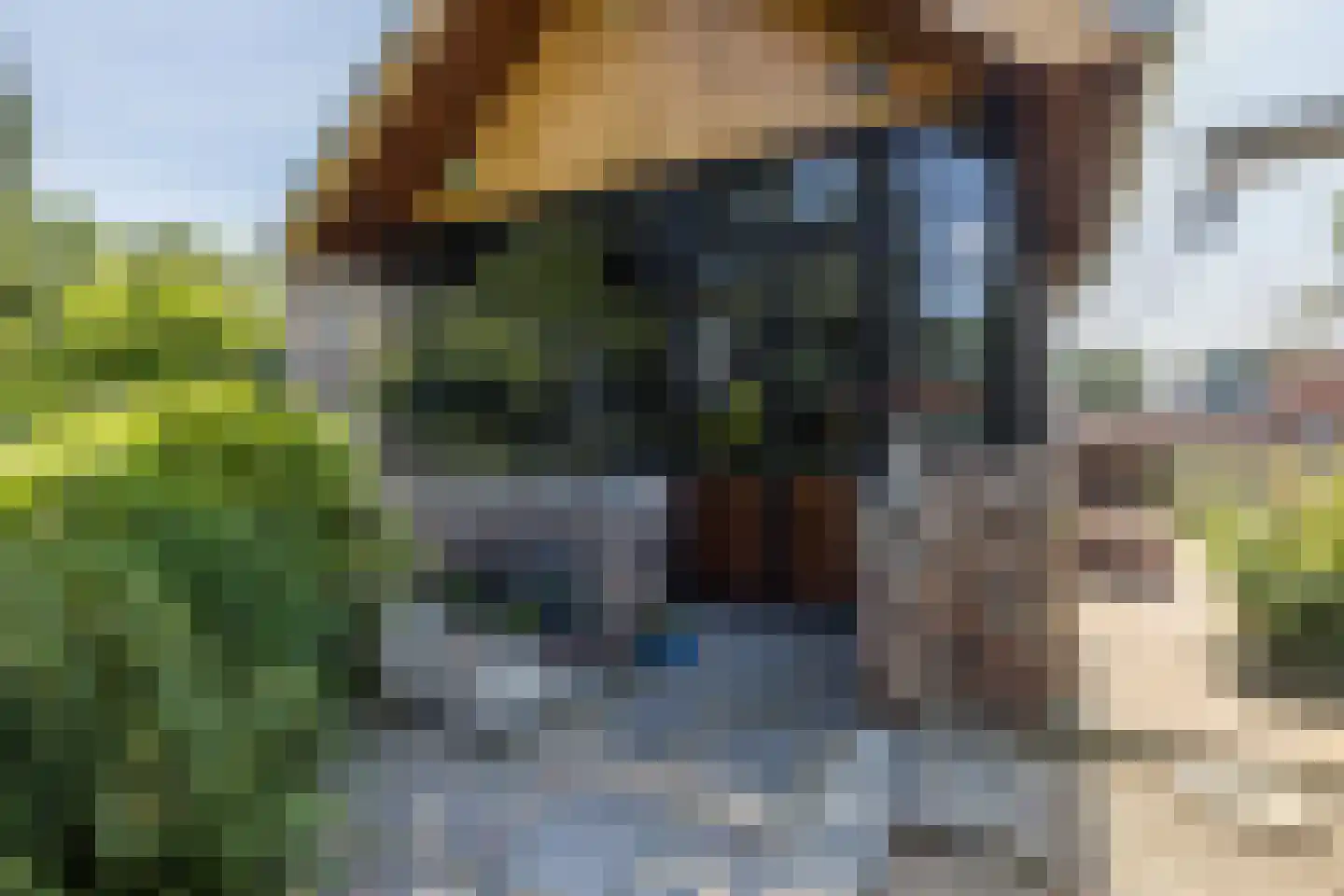 Waalbroek 9 Simpelveld thumbnail 9