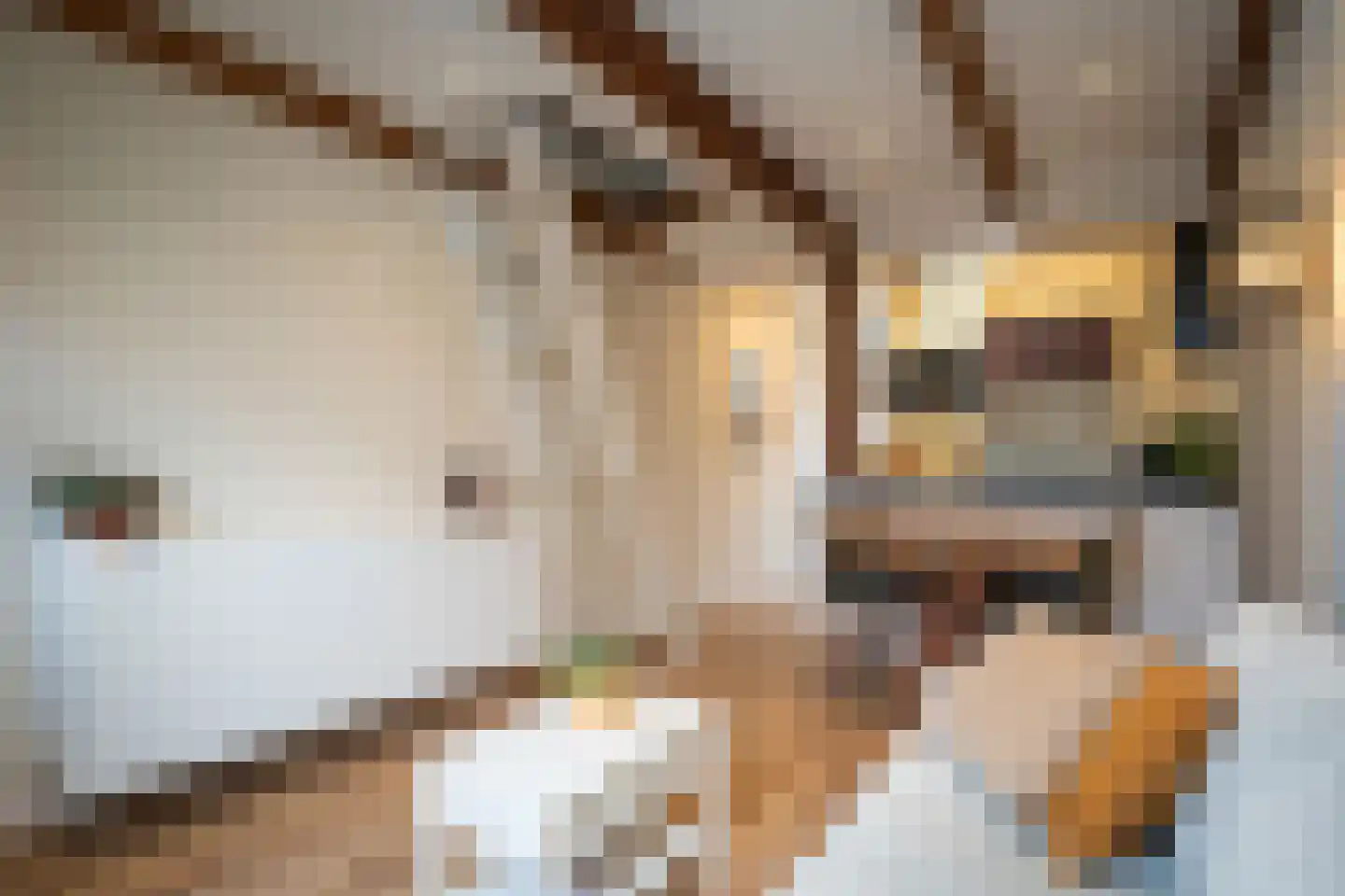 Waalderstraat 11 Den Burg thumbnail 10