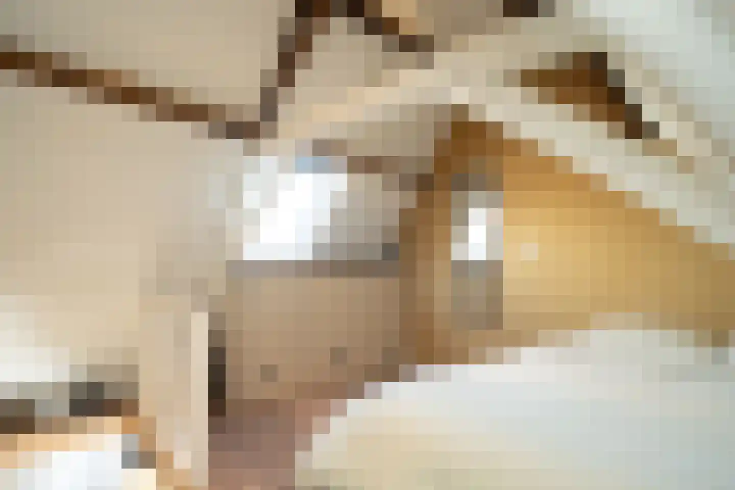 Waalderstraat 11 Den Burg thumbnail 4