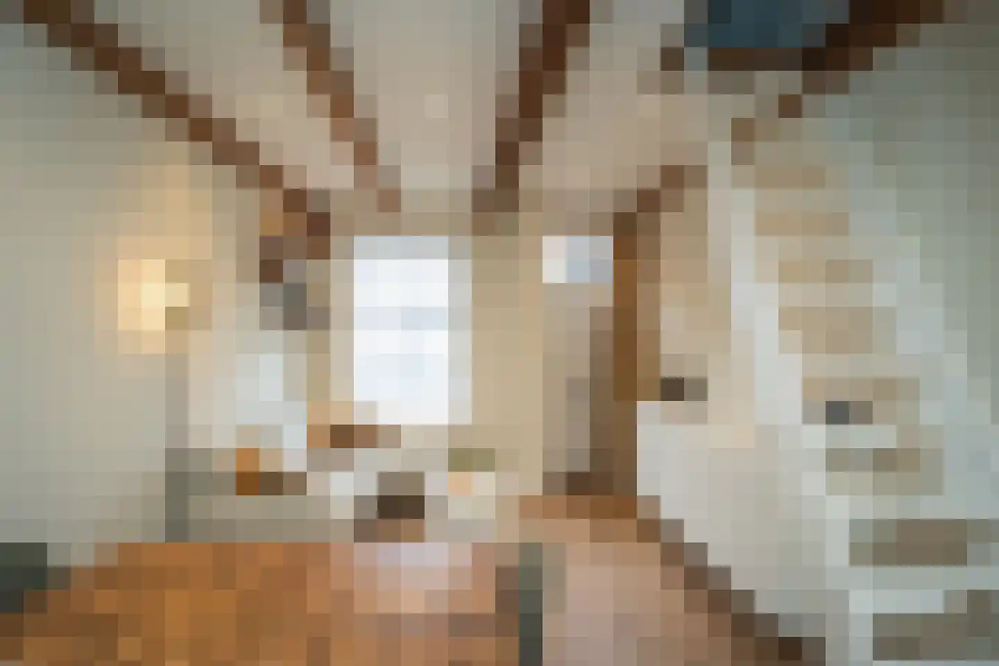 Waalderstraat 11 Den Burg thumbnail 8