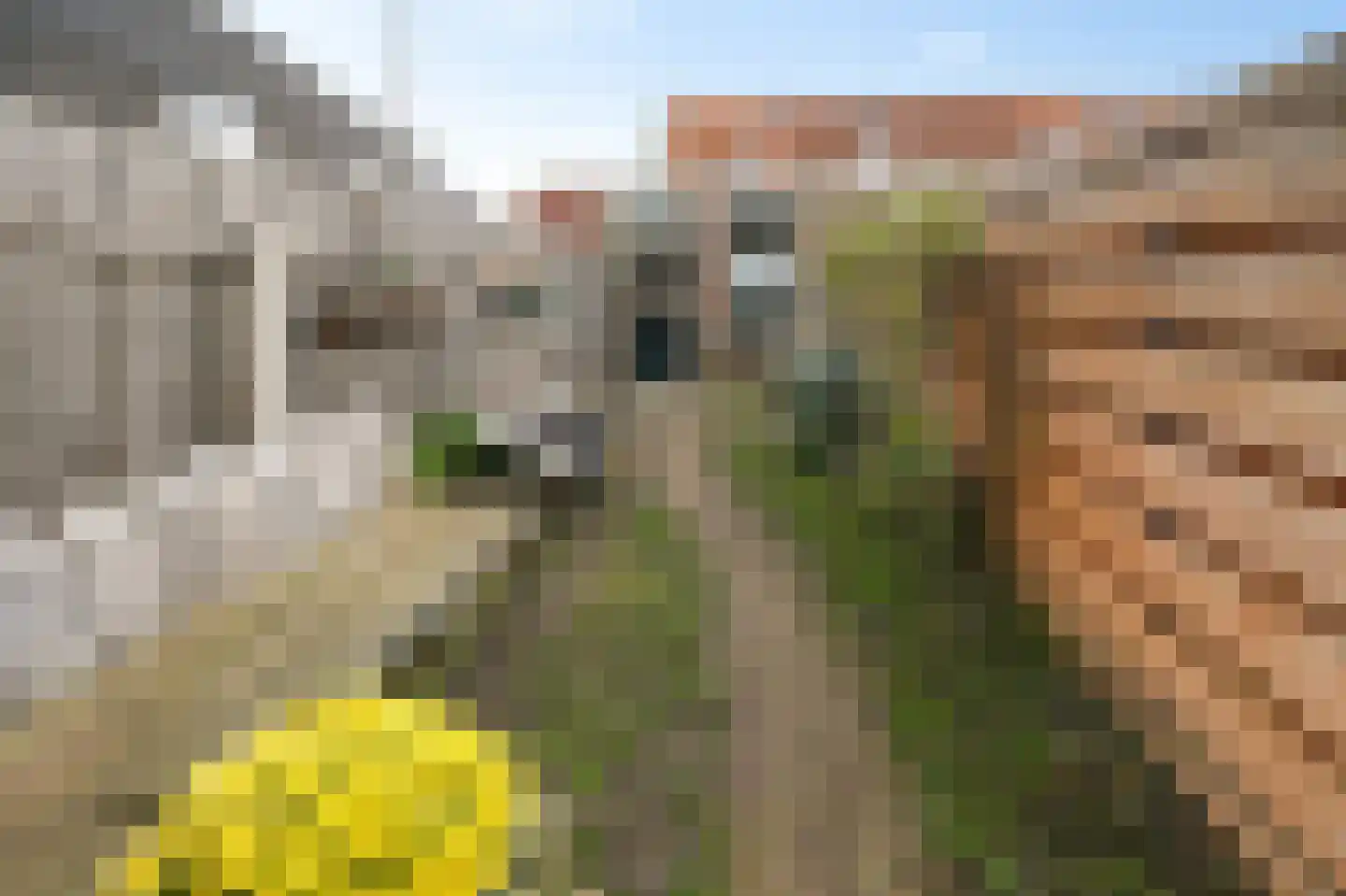 Waalderstraat 13 Den Burg thumbnail 15