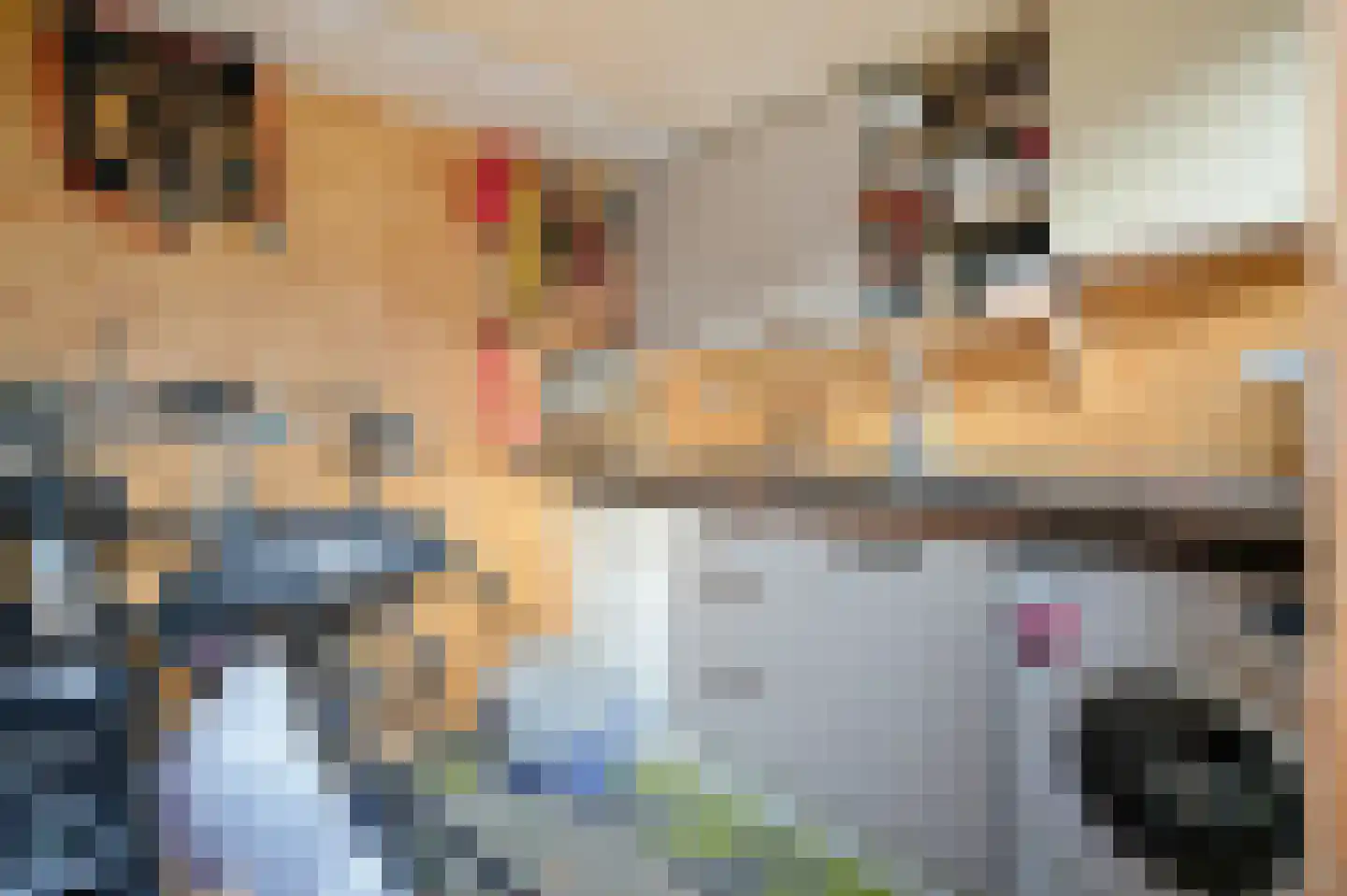 Waalderstraat 13 Den Burg thumbnail 17