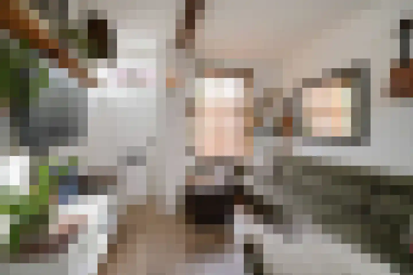 Waalderstraat 13 Den Burg thumbnail 5