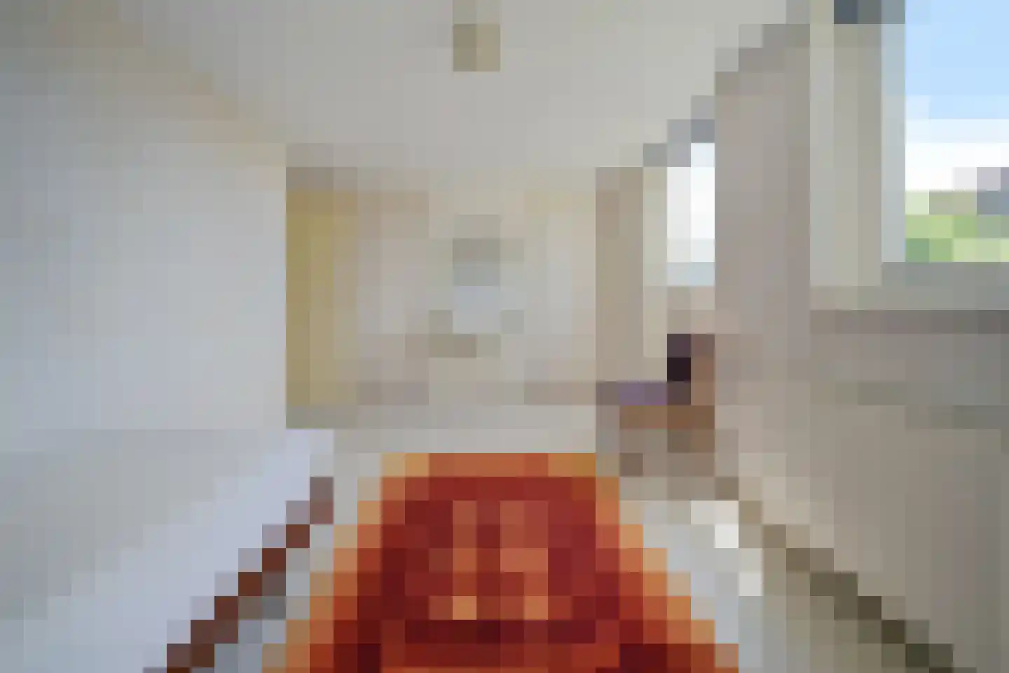 Waalderstraat 45 Den Burg thumbnail 23