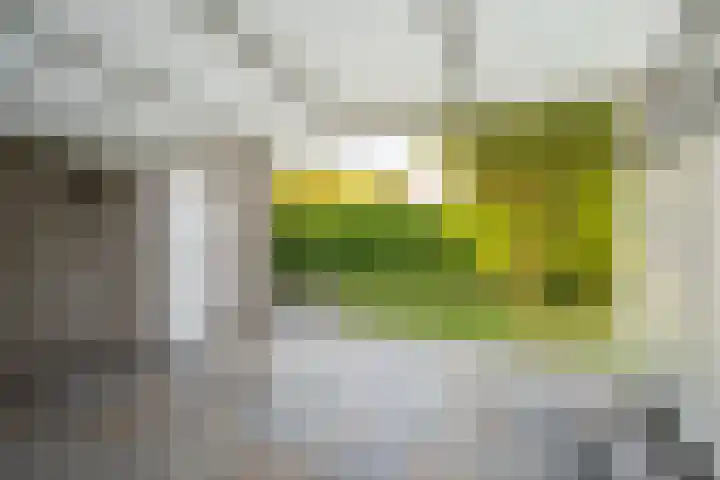 Waalderstraat 94 Den Burg thumbnail 15